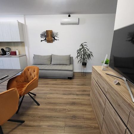 Sika Sunny Garden Apartment Arad Buitenkant foto