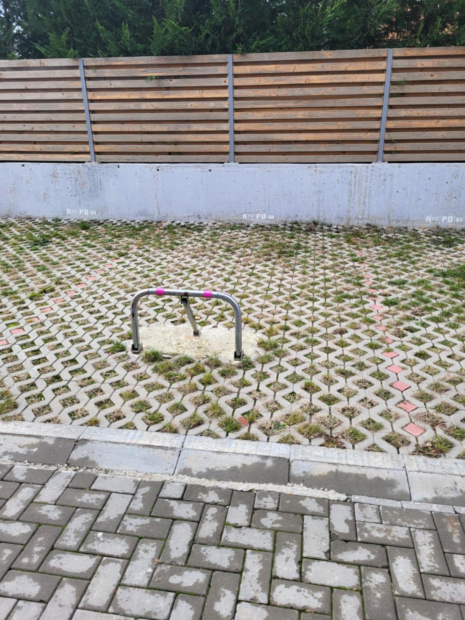 Sika Sunny Garden Apartment Arad Buitenkant foto